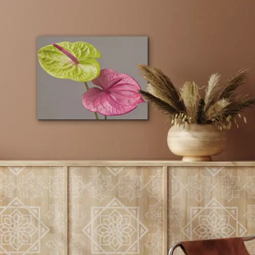 Planten - Anthurium - Groen - Roze PET vilt klein -sfeer4