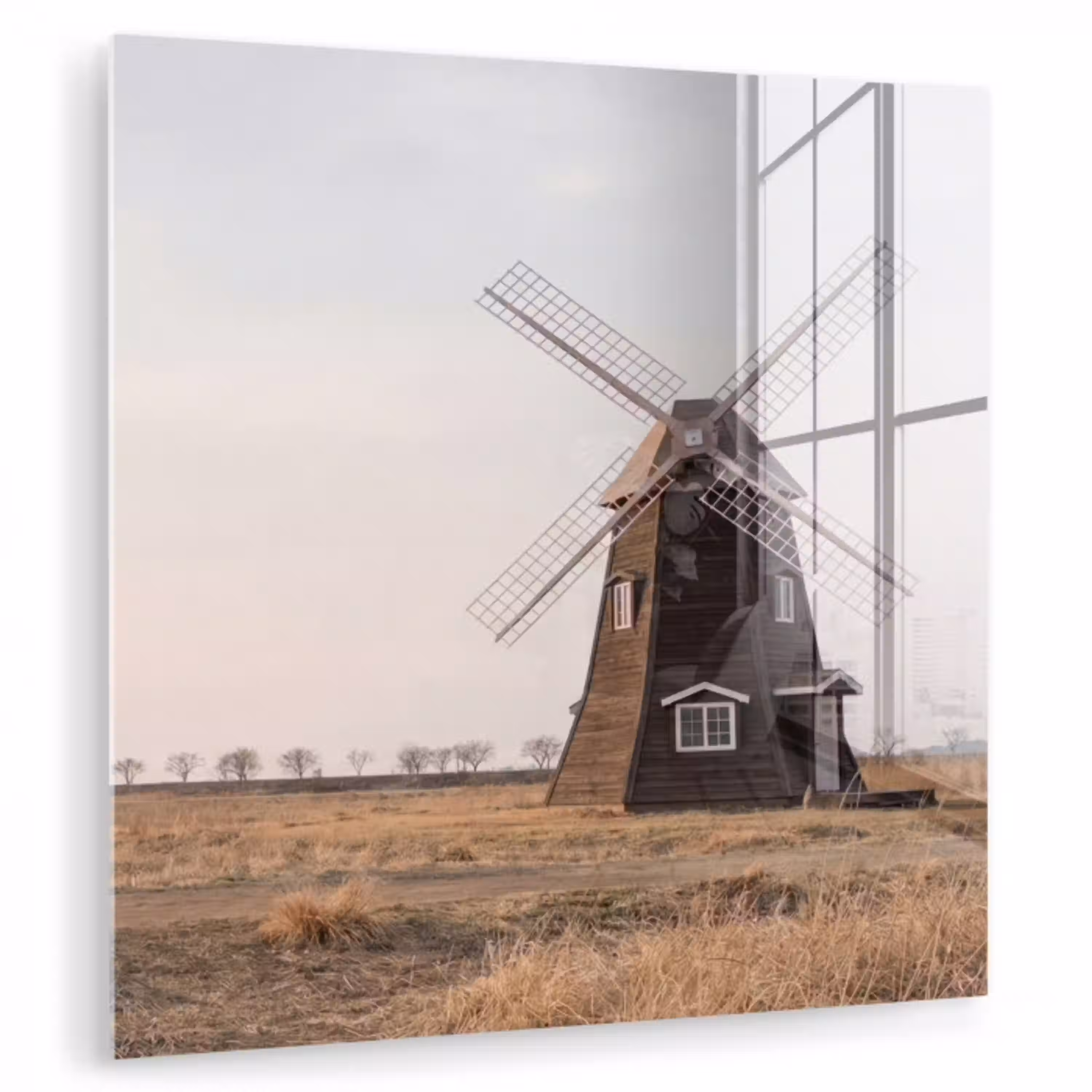 Windmolens - Landschap - Veld plexiglas 5mm klein -zzzproduct_nieuw