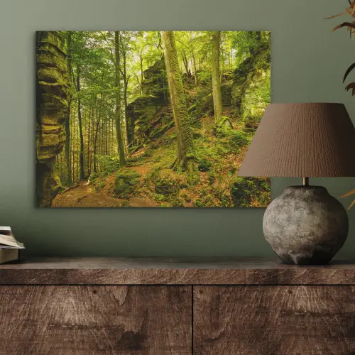 Bomen - Steen - Bos - Natuur - Planten PET vilt klein -sfeer2