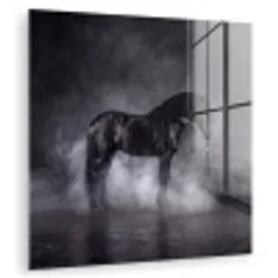 Paard - Magisch - Zwart plexiglas 5mm klein -zzzproduct_nieuw