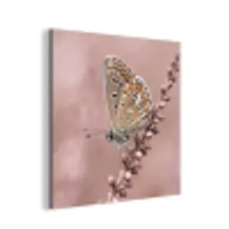 Lavendel - Vlinder - Paars aluminium wit klein -3d