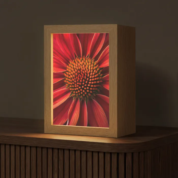 Close up - Bloem- Rood Light Box met kabel (Tafellamp) klein -z3d_website