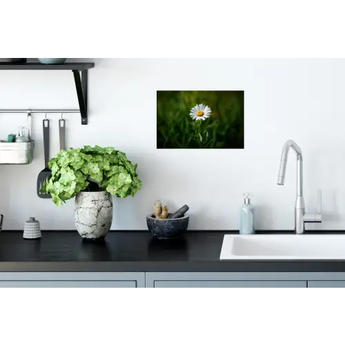 Wit - Madeliefje - Bloem - Gras Muursticker klein -keuken