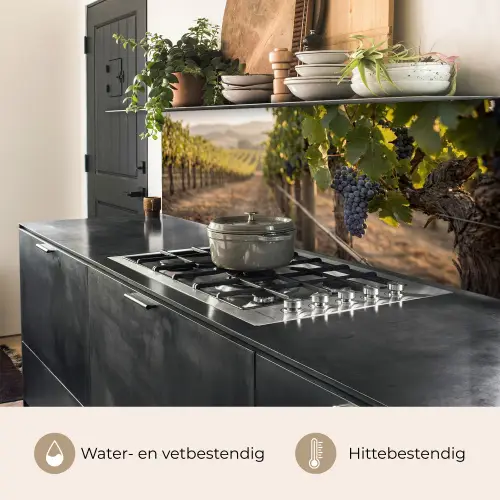 Druiven - Wijngaard - Zonlicht keuken achterwand 2 middel -usp_NL