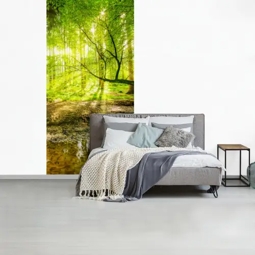 Bos - Landschap - Water - Bomen - Zon fotobehang vinyl groot -slaapkamer