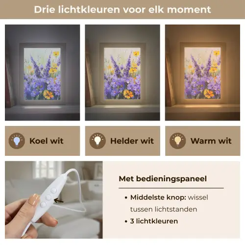 Lavendel - Bloemen - Natuur - Kunst Light Box met kabel (Tafellamp) klein -USP_lichtkleurNL
