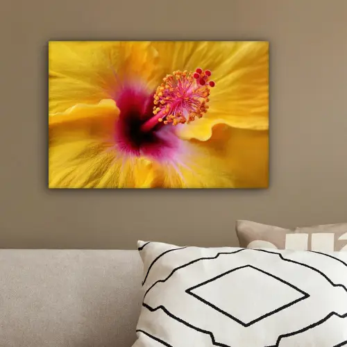 Geel - Hibiscus - Tropisch canvas 2cm klein -sfeer3
