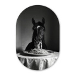 Paard - Bord - Pasta - Tafelkleed - Zwart Wit - Dieren Wandcirkel Ovaal Glas middel -3d