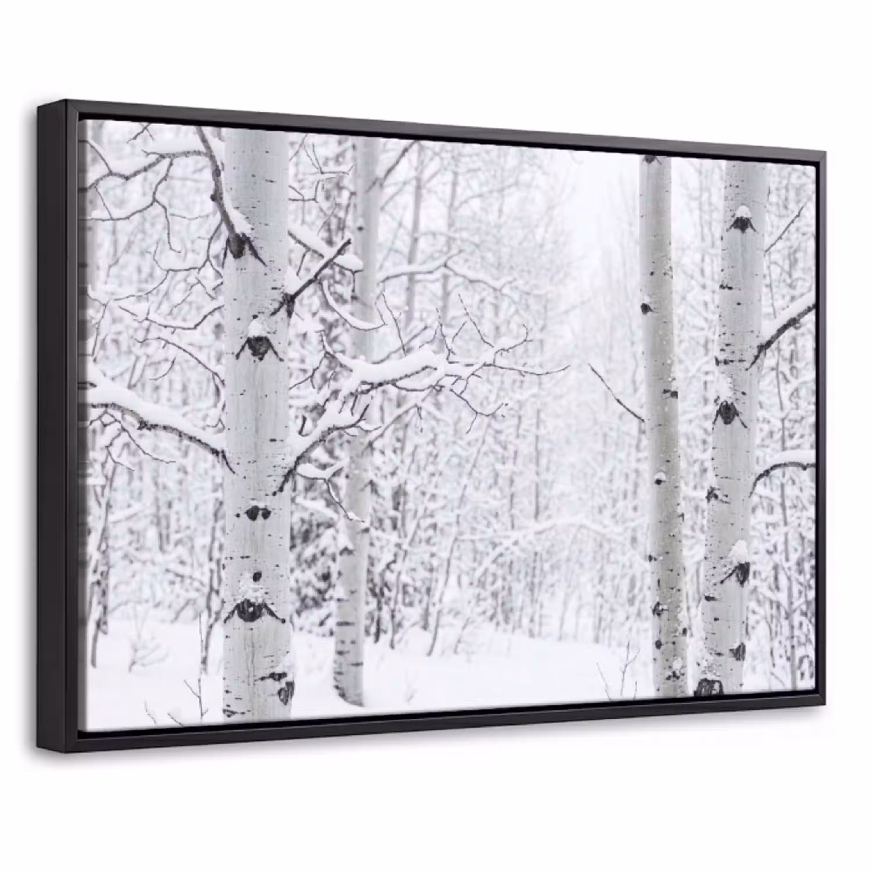 Berkenbomen - Sneeuw - Winter - Bos - Wit Canvas met baklijst klein -threedimensional_3d_global