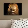 Leeuw - Dieren - Zwart - Licht - Bruin - Portret canvas 2cm klein -sfeer3
