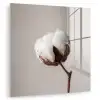 Katoenbol - Minimalistisch - Wit plexiglas 5mm klein -zzzproduct_nieuw