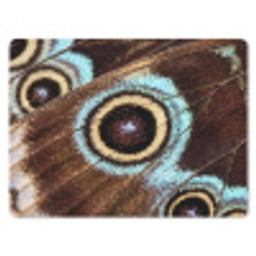 Vleugels - Vlinder - Blauw muismat rubber klein -3d