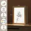 Lelies - Elegant - Zwart - Wit Light Box met kabel (Tafellamp) klein -USP_NL