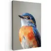 Kleurrijk - Vogeltje - Veren - Blauw Tuinposter op houten frame 2 cm dik klein -3d