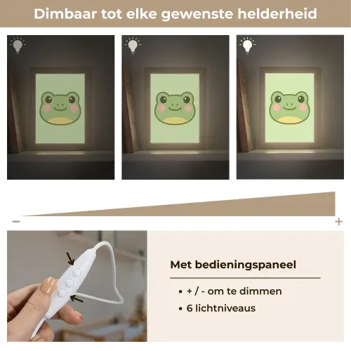 Kikker - Groen - Vriendelijkheid Light Box met kabel klein -USP_dimbaarNL
