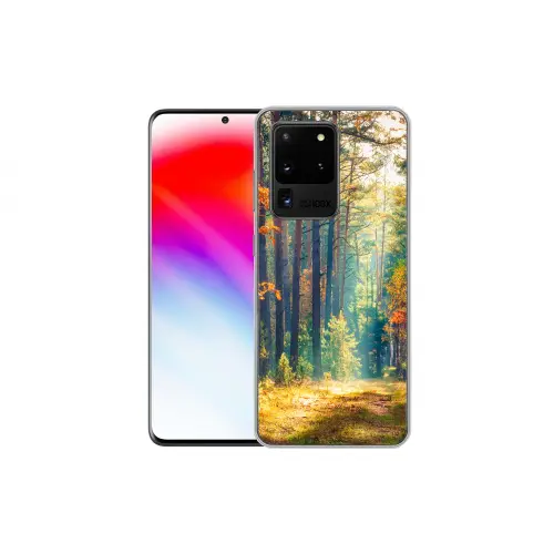 shutterstock-766886038 Telefoonhoesje Samsung Galaxy S20 Ultra klein -dubbelS20Ultra