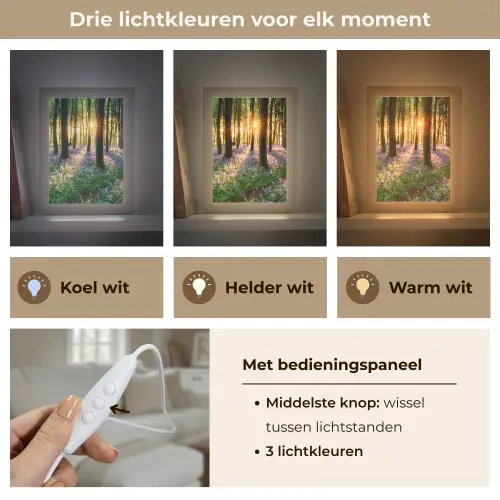 Bos - Bloemen - Lavendel - Zon - Paars - Natuur Light Box met kabel (Tafellamp) klein -USP_lichtkleurNL