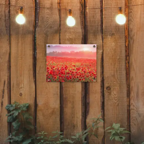 Rode klaprozen in de ochtendzon tuinposter los doek klein -sfeer1