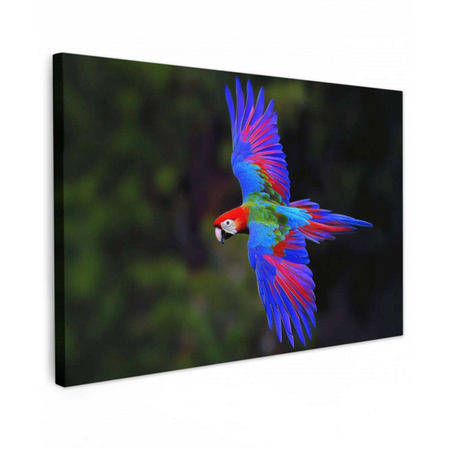 Felgekleurd - Papegaai - Bos - Vleugels Tuinposter op houten frame 2 cm dik klein -3d