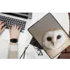 Uil - Bruin - Wit laptophoes neopreen klein -bureau
