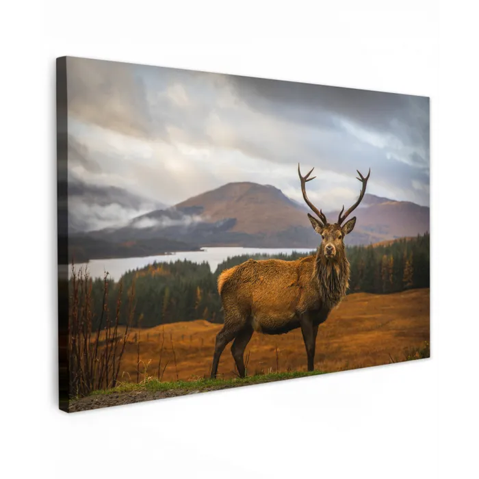 Hert - Berg - Water - Landschap - Dieren - Bomen canvas 2cm klein -z3d