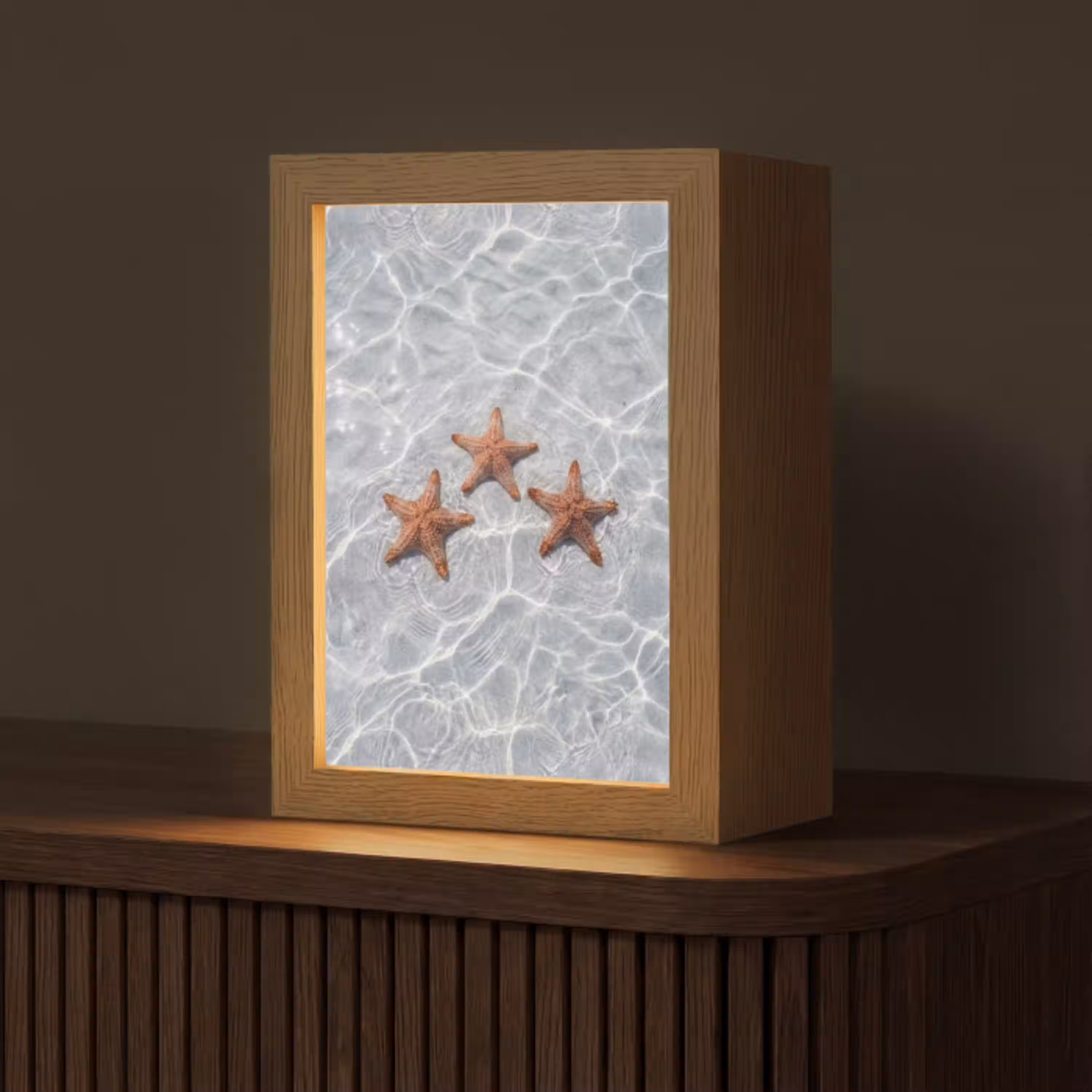 Zeesterren - Water - Helder Light Box met kabel (Tafellamp) klein -z3d_website