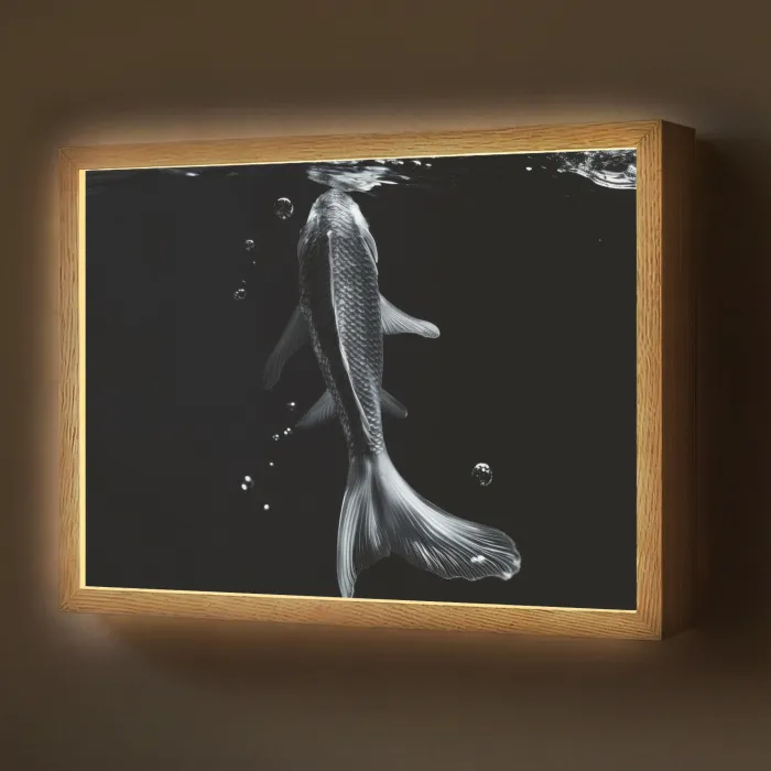 Koi - Vissen - Water - Zwart Light Box met batterij (Wandlamp) middel -z3d_website