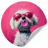 Pink - Hond - Bubbel Wandcirkel behangsticker klein -3d