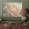 Close up - Pioenroos - Lichtroze PET vilt klein -sfeer2