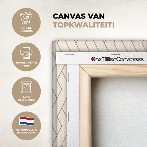 Beige - Zigzag - Patroon canvas 2cm xxl 828 -sfeer2