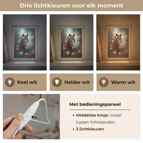 Paard - Natuur - Bloemen - Dieren - Bos Light Box met kabel klein -USP_lichtkleurNL
