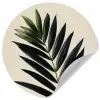 Palmblad - Donkere bladen - Subtiel Wandcirkel behangsticker klein -3d