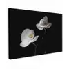 Orchidee - Bloemen - Zwart - Wit - Stilleven canvas 2cm klein -z3d