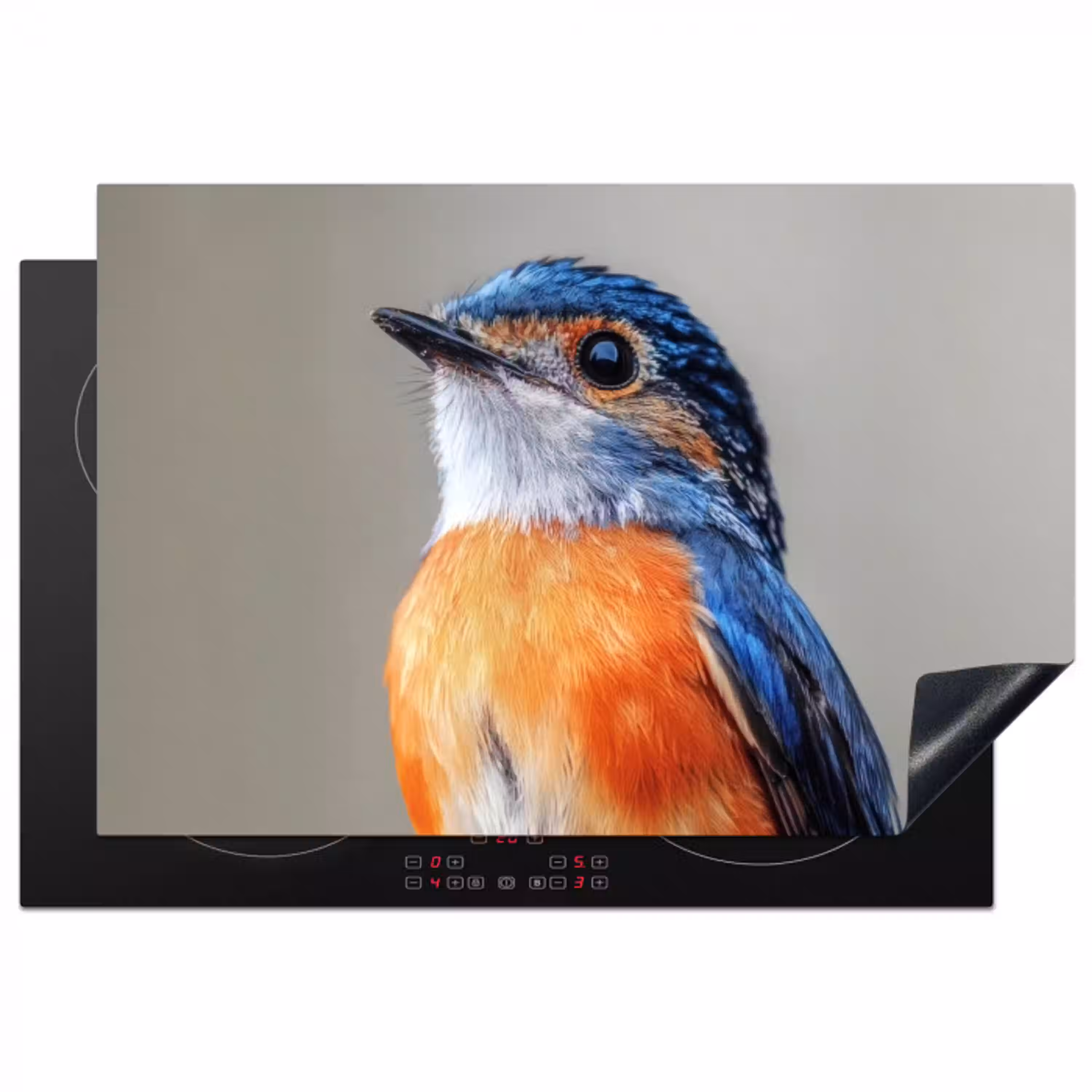 Kleurrijk - Vogeltje - Veren - Blauw Inductie beschermer vinyl 3mm klein -3d