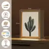 Cactus - Subtiel - Groen Light Box met kabel (Tafellamp) klein -USP_websiteoverzichtNL