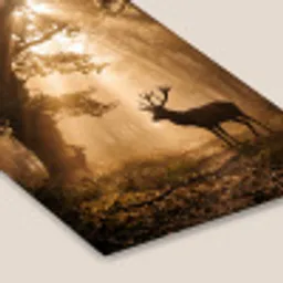 Hert - Bos - Mistig - Natuur - Goud fotolijst zwart zonder passe partout klein -zsfeer6