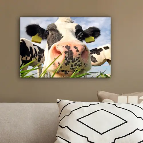 Koe - Boerderij - Gras - Dieren canvas 2cm klein -sfeer3
