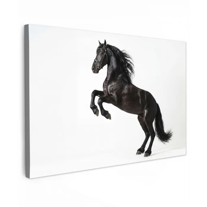 Zwart - Paard - Portret canvas 2cm klein -z3d