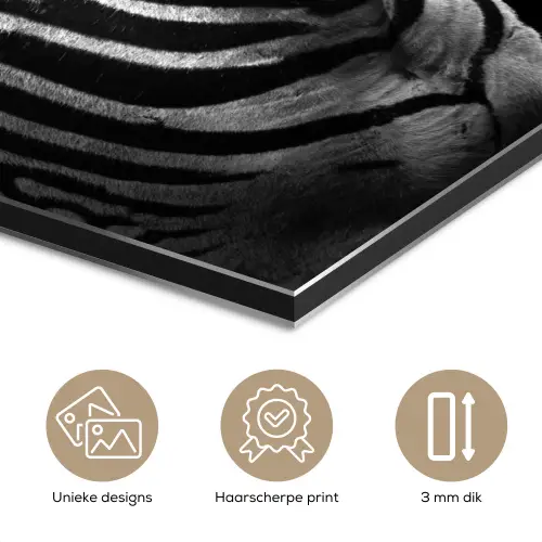 Zebra - Zwart - Wit - Portret - Dieren aluminium wit klein -closeup_NL