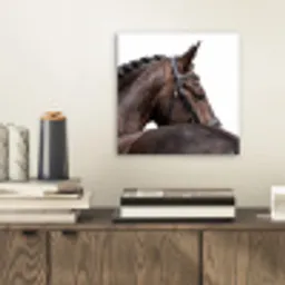 Portret - Paard - Elegant aluminium wit klein -sfeer1