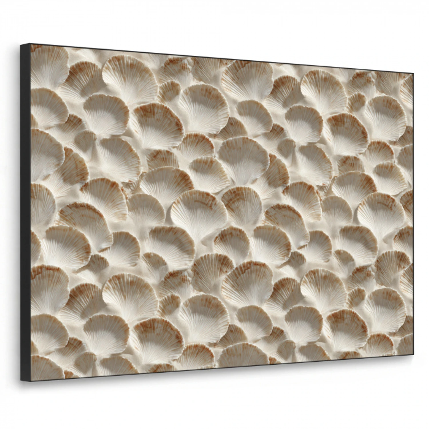 Schelpen - Waaiervorm - Wit Textielframe zwart klein 947 -3d