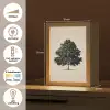 Eikenboom - Schaduw - Egaal Light Box met kabel (Tafellamp) klein -USP_NL