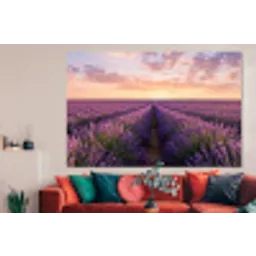 Landschap - Lavendelveld - Paars forex 5mm xxl -woonkamer