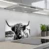 Koe - Schotse hooglander - Zwart - Wit - Dier - Natuur - Wild keuken achterwand spatscherm klein -3d_schuin