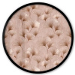 Ginkgo - Patroon - Roze Fotolijst rond zonder passe partout klein 856 -3d
