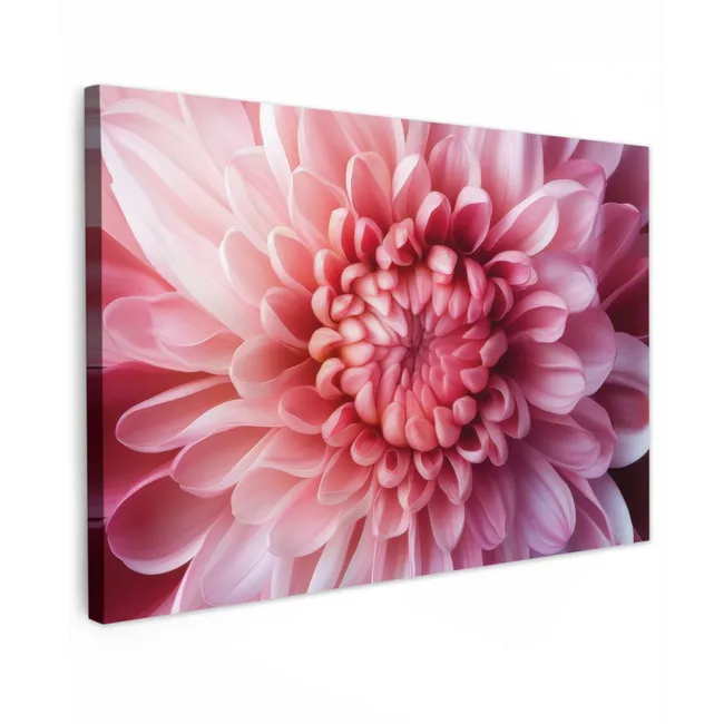 Outdoor Leinwand - Dahlie - Blume - Nahaufnahme - Rosa