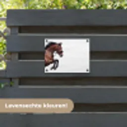 Paard - Springen - Modern tuinposter los doek klein -sfeer3