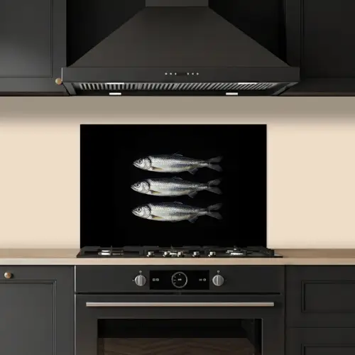 Haring - Vissen - Zwart keuken achterwand spatscherm klein -sfeer1