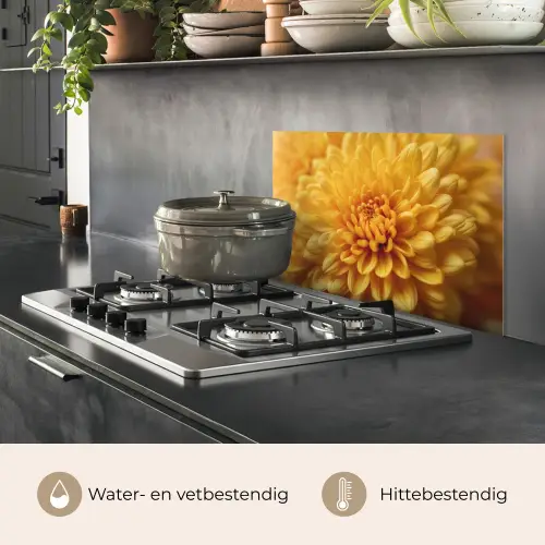 Geel - Chrysant - Zachtheid keuken achterwand spatscherm klein -usp_NL