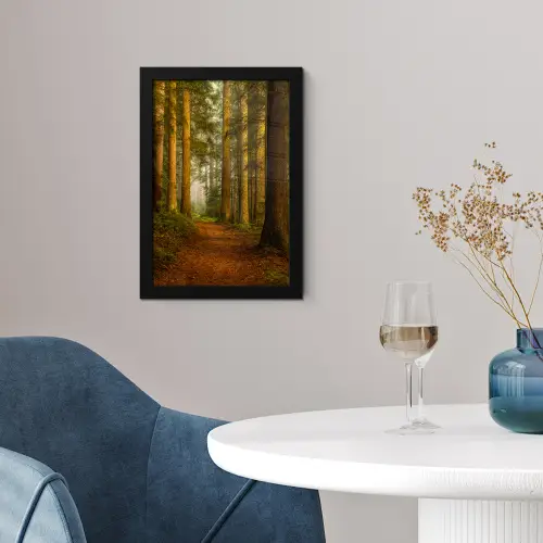 Bos - Natuur - Bomen - Landschap - Bladeren fotolijst zwart zonder passe partout klein -sfeer4